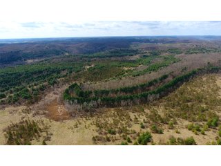 Property photo 45 - LAND AUCTION - 2,596+/- ACRES IN 28 TRACTS IN COSHOCTON & MUSKINGUM COUNTIES, OHIO